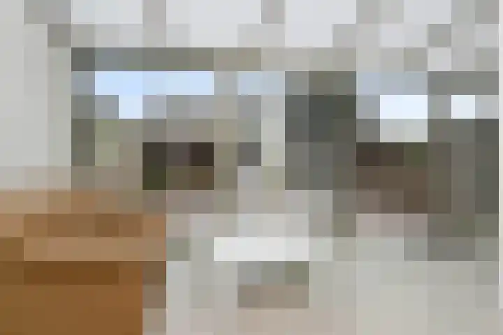 Mirabelweg 12 Eindhoven thumbnail 12