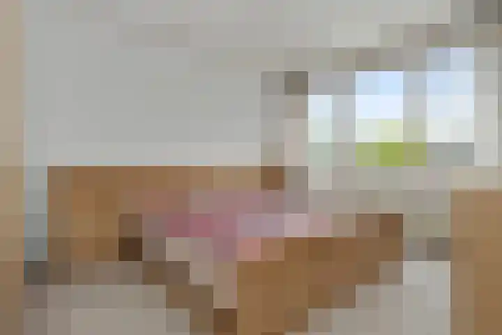 Mirabelweg 12 Eindhoven thumbnail 14