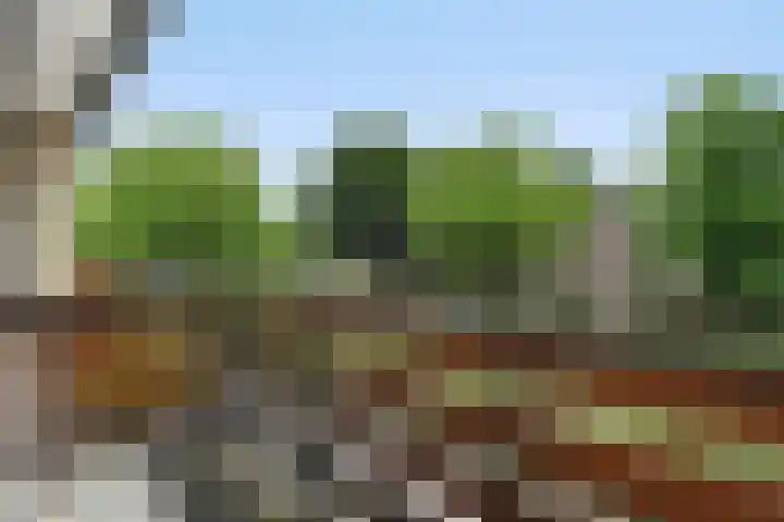 Mirabelweg 12 Eindhoven thumbnail 16