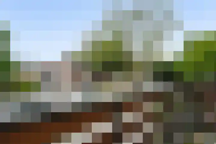 Mirabelweg 12 Eindhoven thumbnail 17