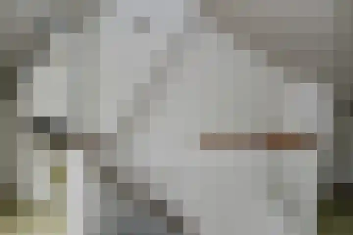 Mirabelweg 12 Eindhoven thumbnail 22