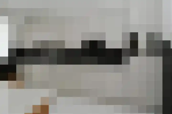 Mirabelweg 12 Eindhoven thumbnail 9