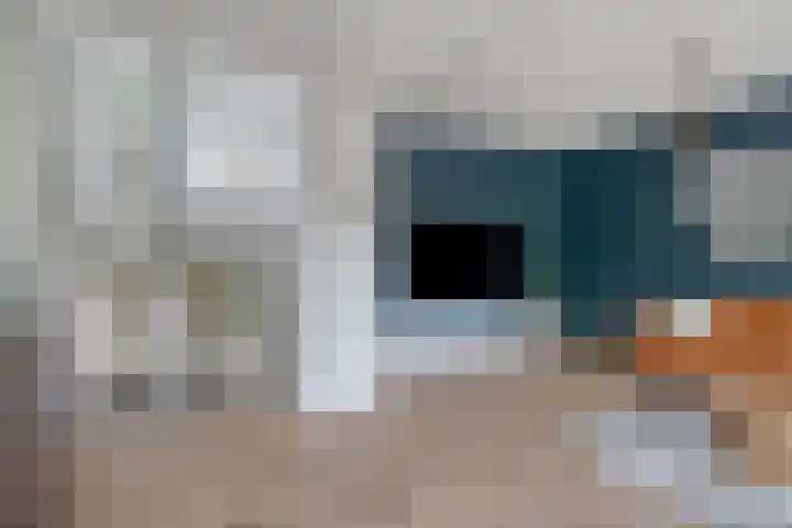 Mirabelweg 68 Eindhoven thumbnail 20