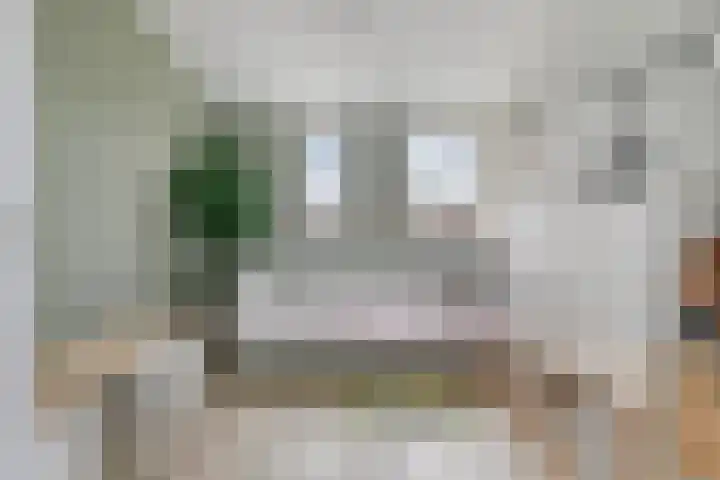 Mirabelweg 68 Eindhoven thumbnail 23