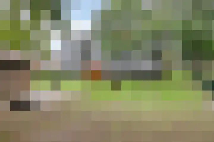 Mirabelweg 68 Eindhoven thumbnail 35