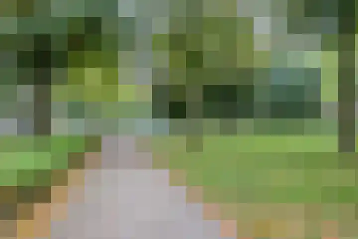 Mirabelweg 68 Eindhoven thumbnail 36