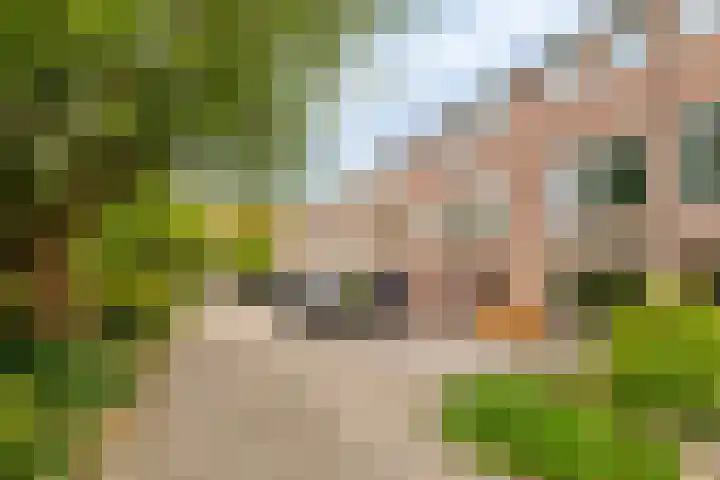Mirabelweg 68 Eindhoven thumbnail 4