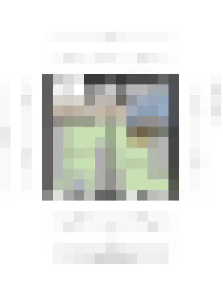 Mirabelweg 68 Eindhoven thumbnail 40