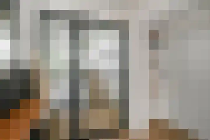 Mirabelweg 68 Eindhoven thumbnail 6