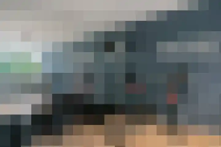 Mirabelweg 68 Eindhoven thumbnail 7