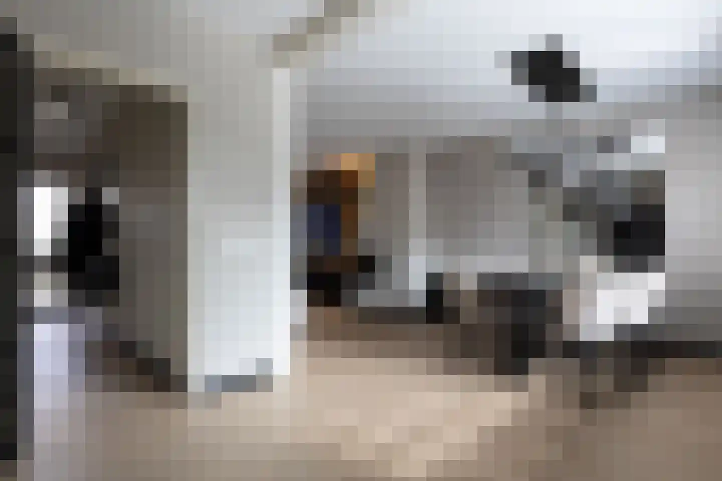 Mirandalaan 3 Heerhugowaard thumbnail 10