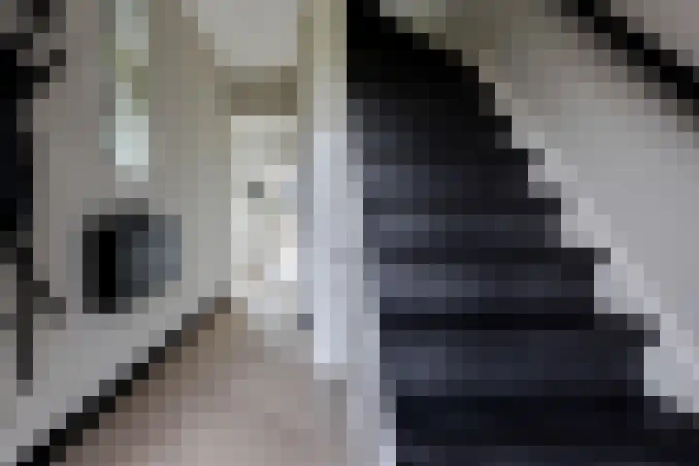 Mirandalaan 3 Heerhugowaard thumbnail 11