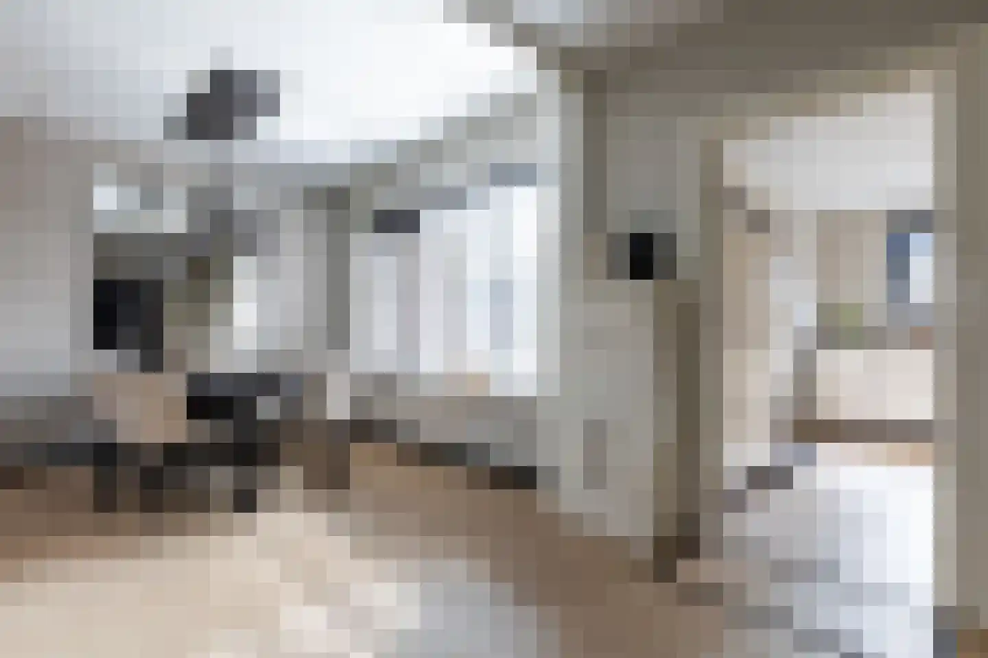 Mirandalaan 3 Heerhugowaard thumbnail 5