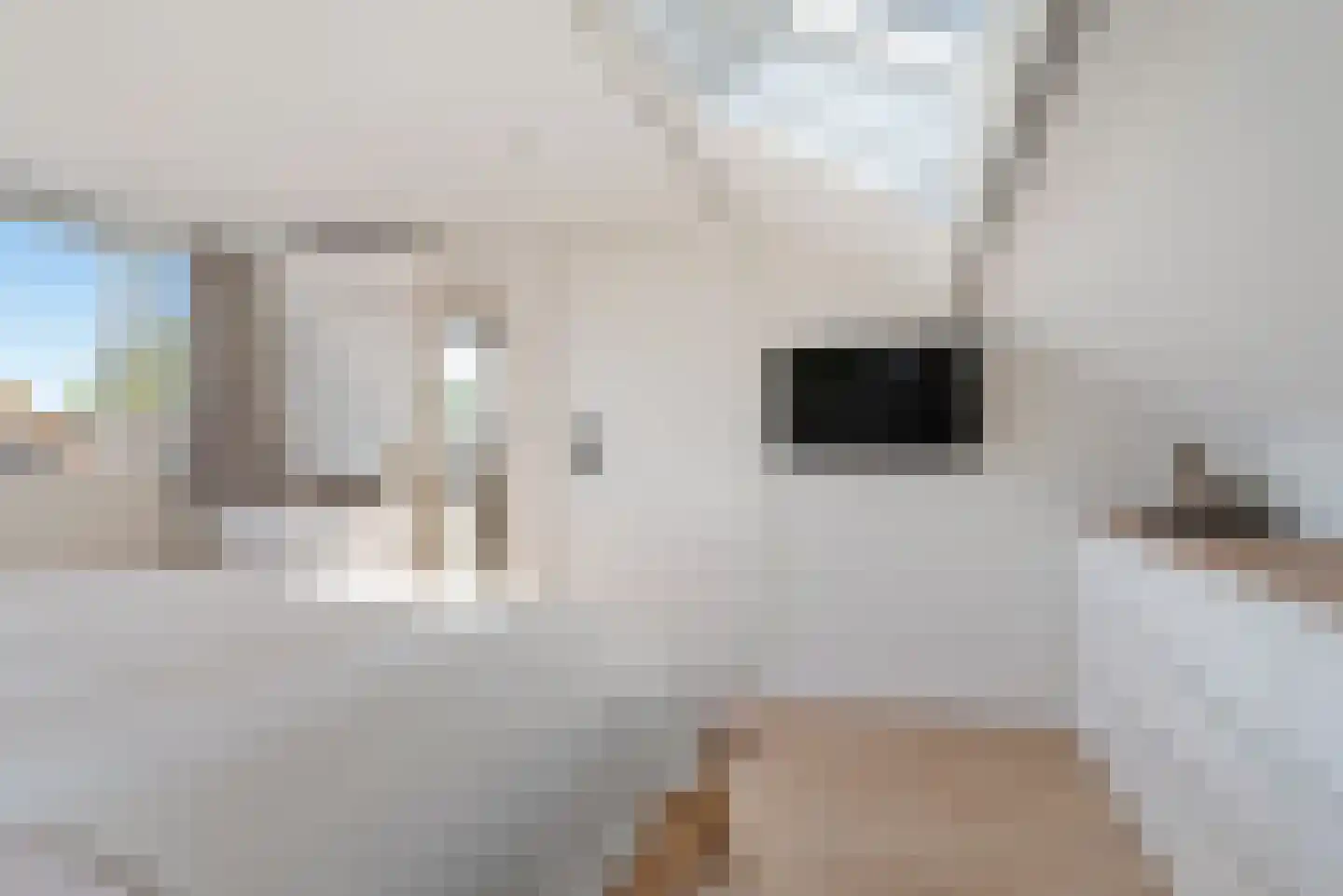 Mirasstraat 5 Oudorp thumbnail 33