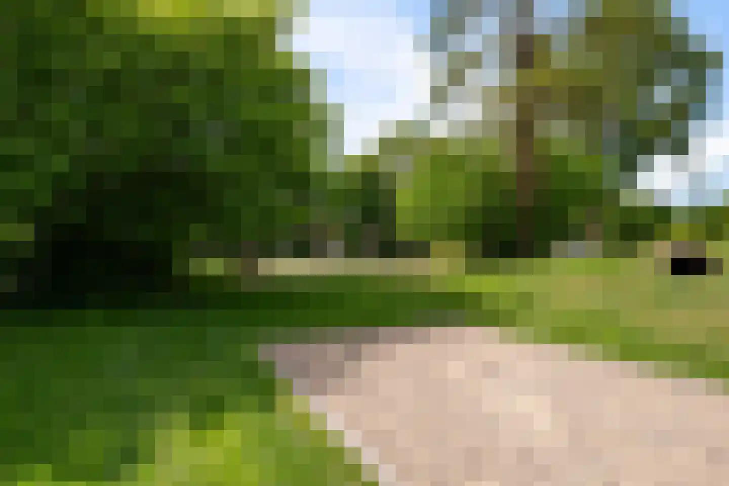Mirasstraat 5 Oudorp thumbnail 40
