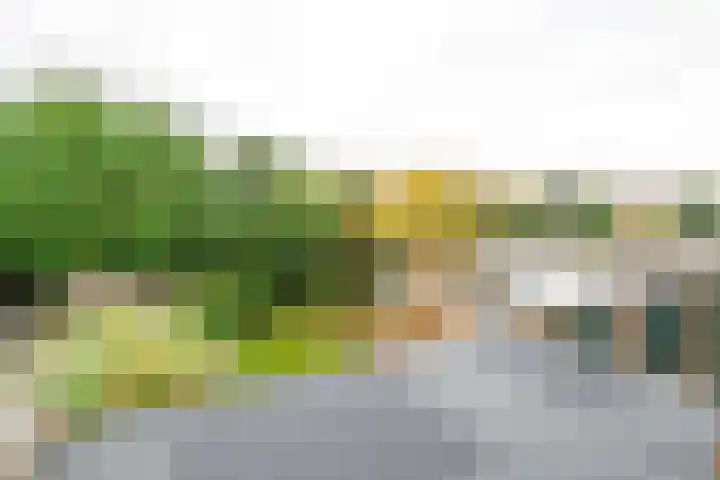 Mirbachstraat 10 Voerendaal thumbnail 25