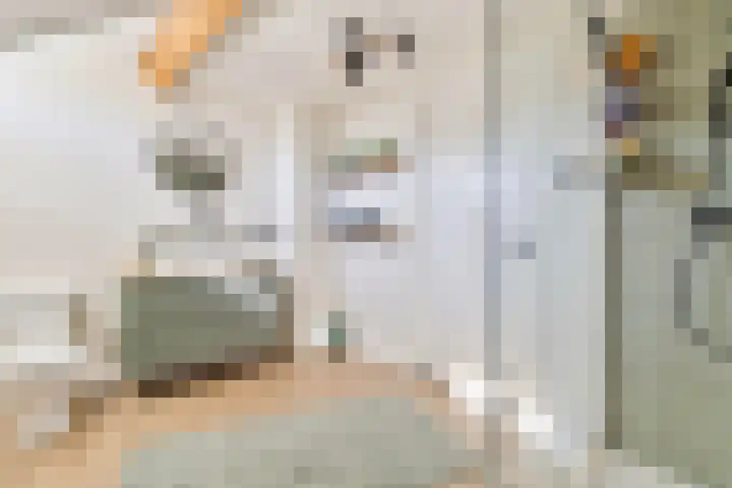 Mirbachstraat 15 Eygelshoven thumbnail 18