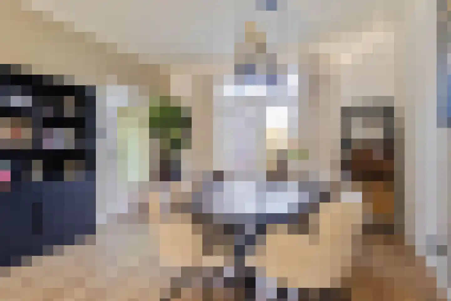 Mirbachstraat 15 Eygelshoven thumbnail 4