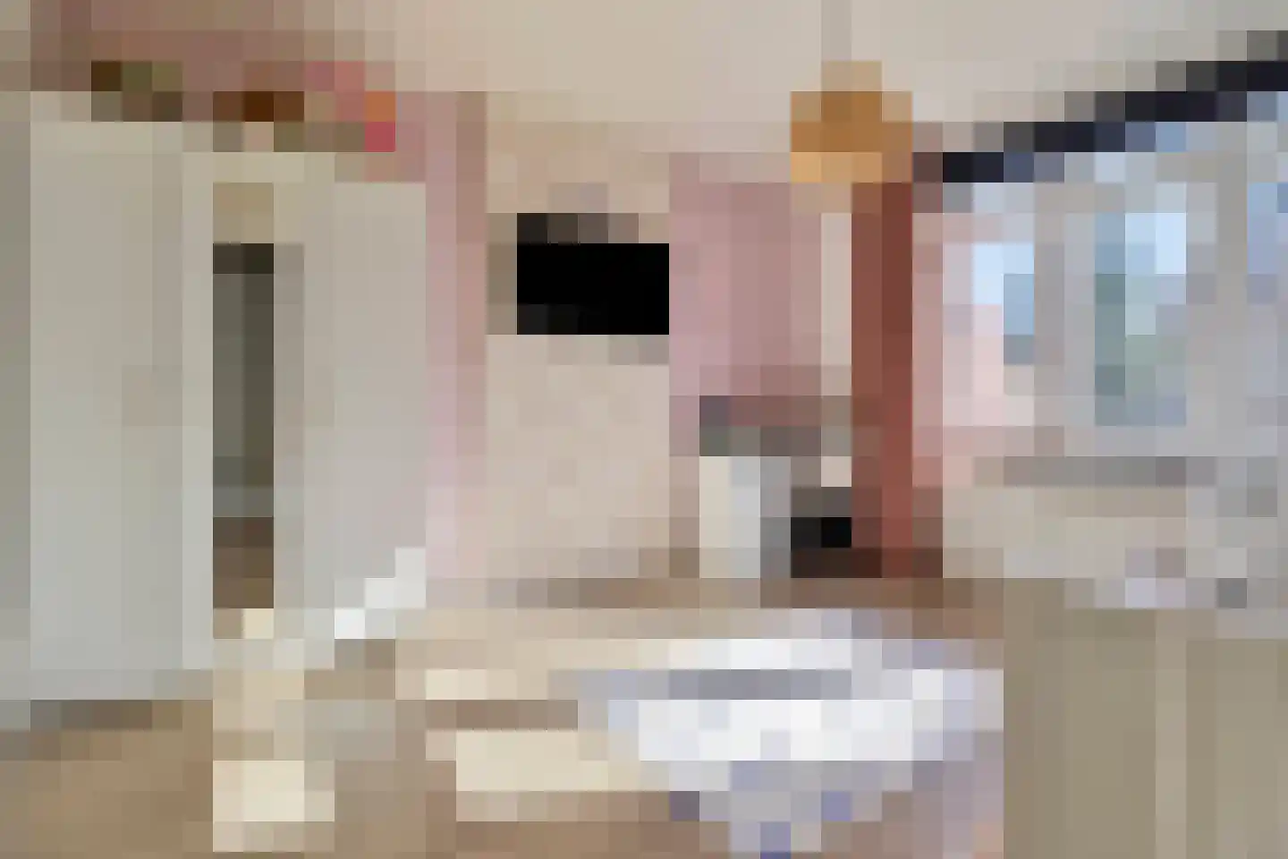 Mirbachstraat 15 Eygelshoven thumbnail 8