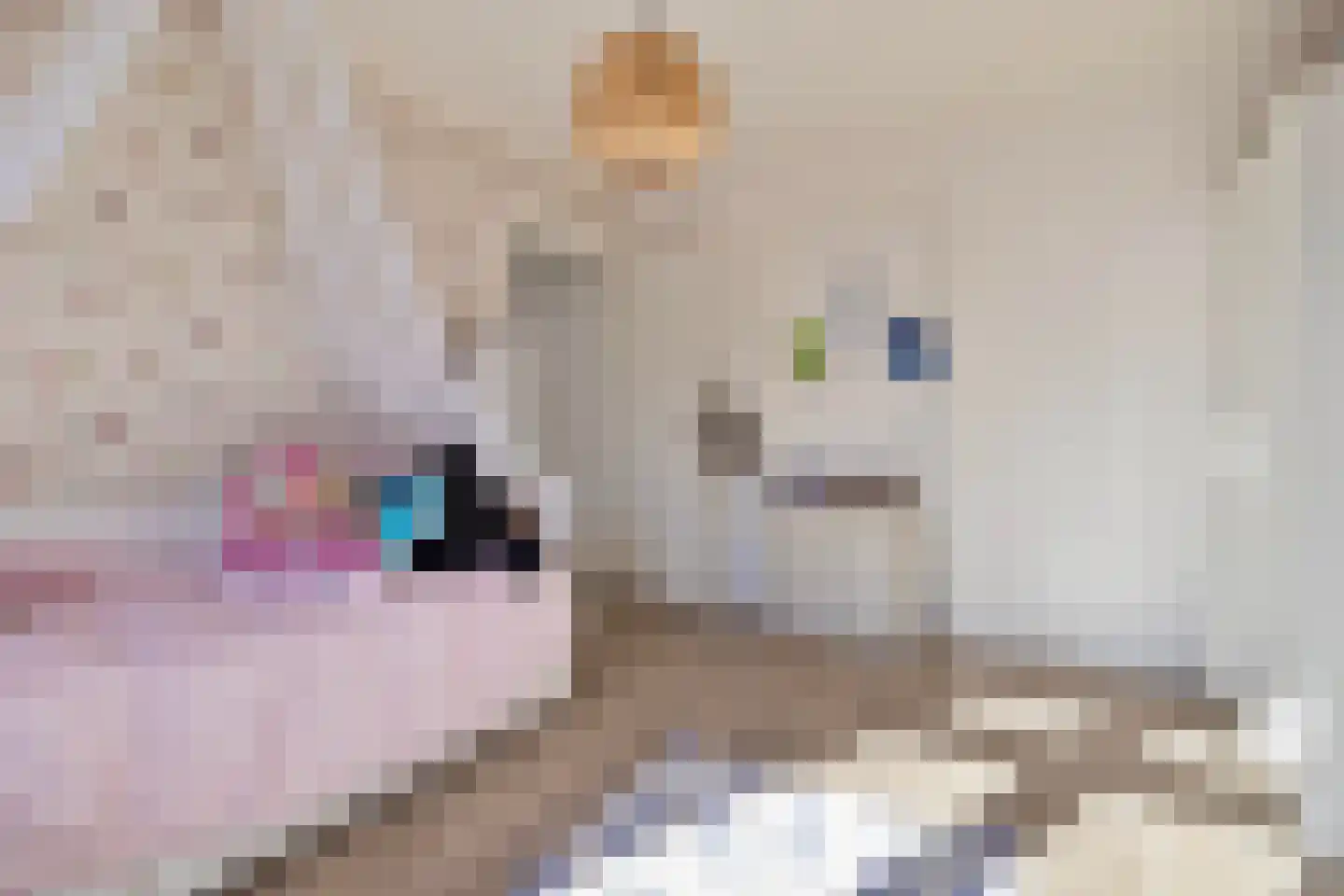 Mirbachstraat 15 Eygelshoven thumbnail 9