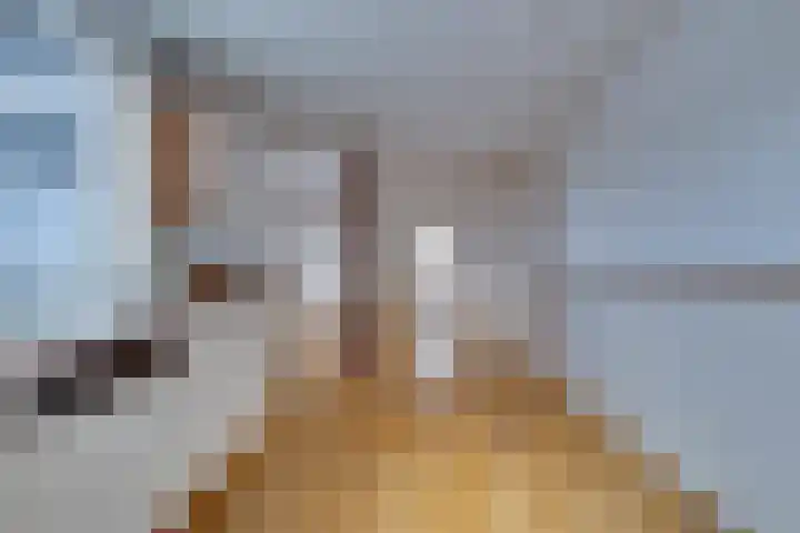 Mirbachstraat 23 Eygelshoven thumbnail 13