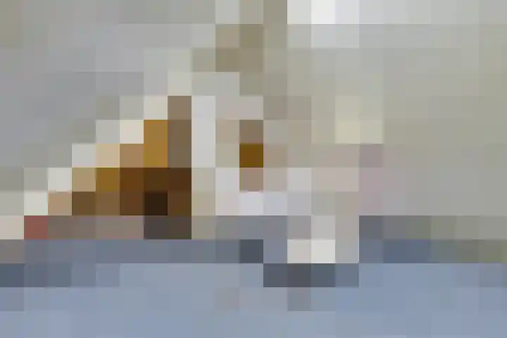 Mirbachstraat 23 Eygelshoven thumbnail 29