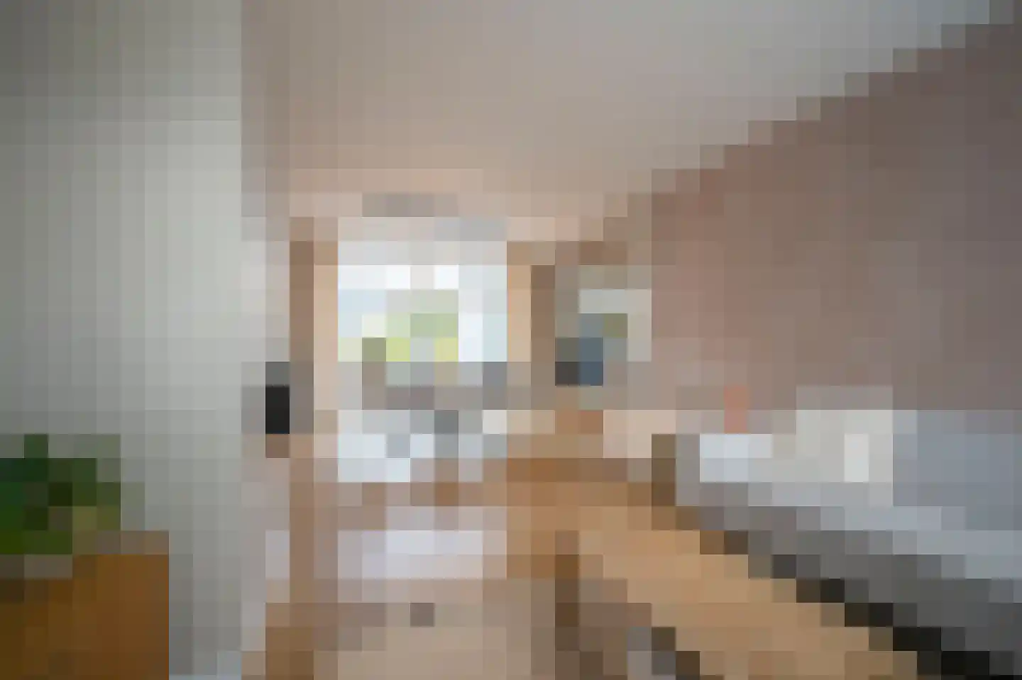 Mirbachstraat 7 Voerendaal thumbnail 9