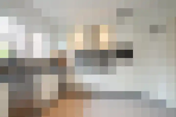 Mirbachstraat 8 Eygelshoven thumbnail 10
