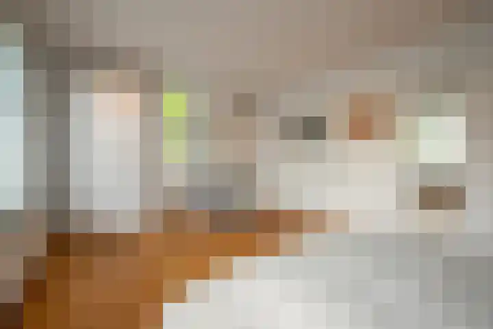 Mirbachstraat 8 Eygelshoven thumbnail 15