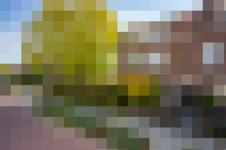 Mirbachstraat 8 Eygelshoven thumbnail 29
