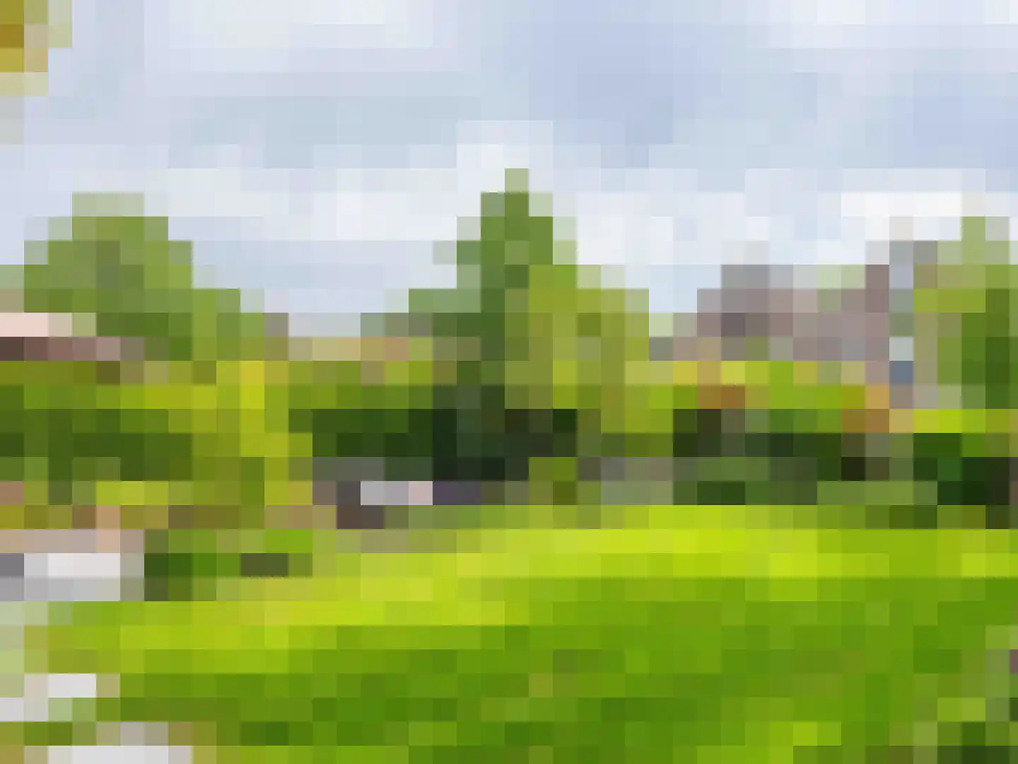 Mirembelaan 11 Bergen (NH) thumbnail 5