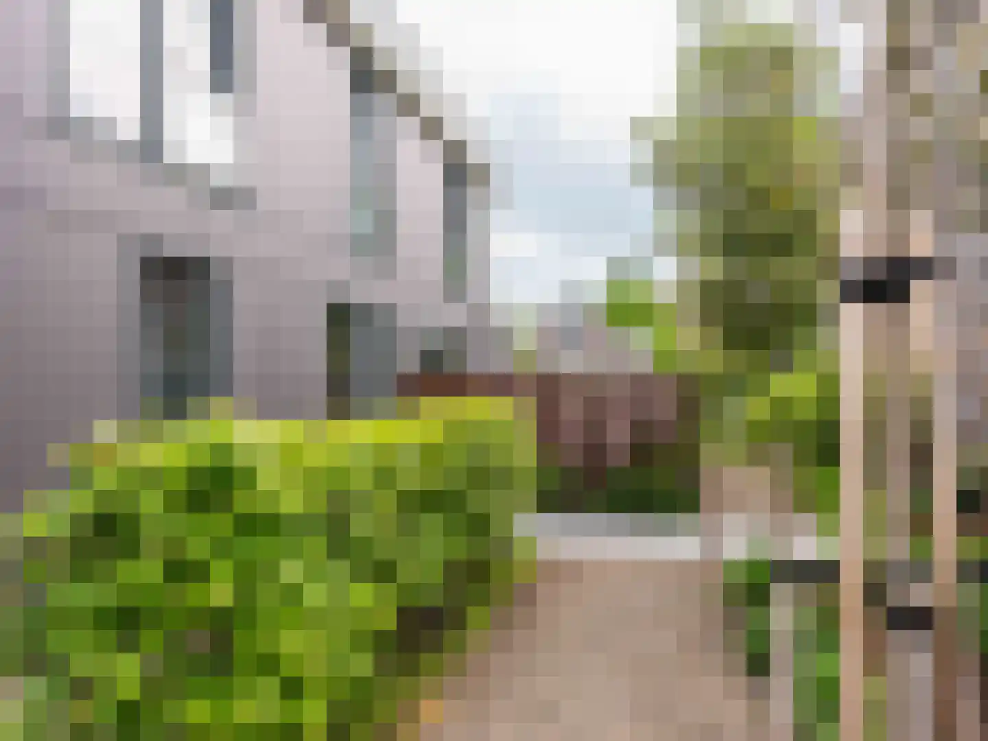 Mirembelaan 11 Bergen (NH) thumbnail 55