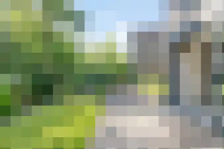 Mirembelaan 21 Bergen (NH) thumbnail 34