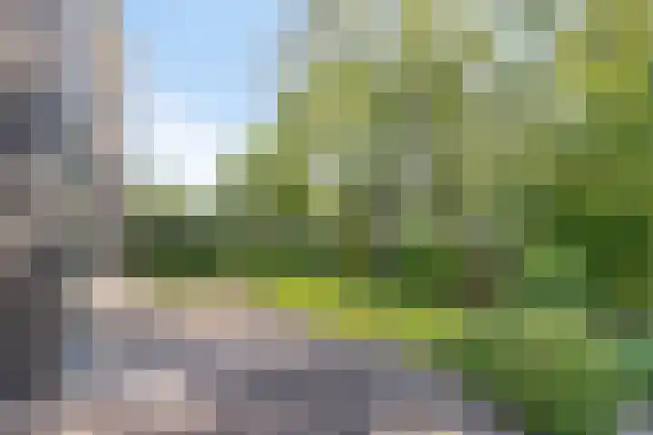 Mirembelaan 21 Bergen (NH) thumbnail 35