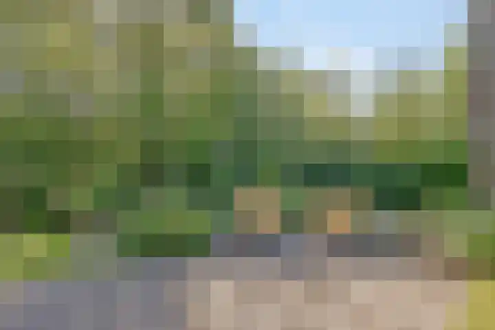 Mirembelaan 21 Bergen (NH) thumbnail 38