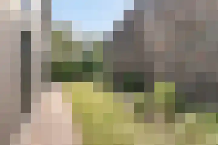 Mirembelaan 21 Bergen (NH) thumbnail 39