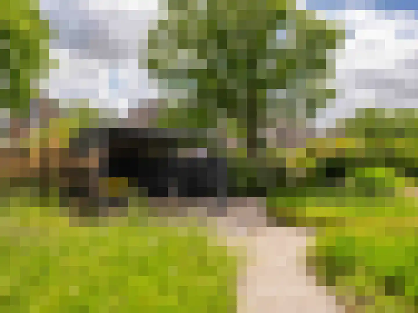 Mirembelaan 7 Bergen (NH) thumbnail 38