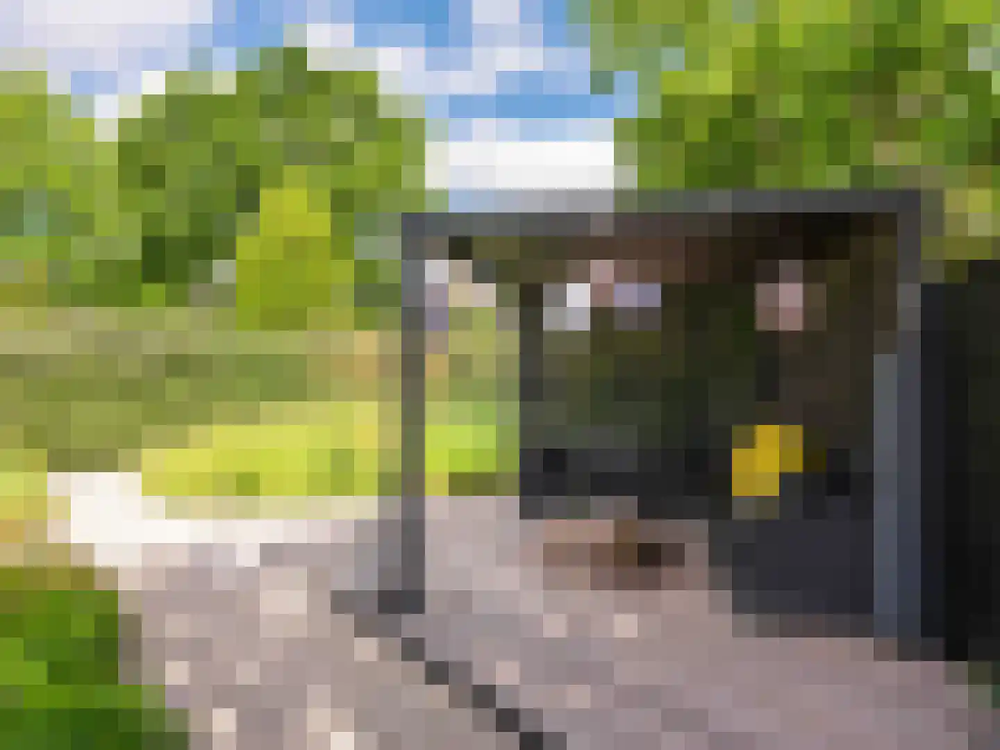 Mirembelaan 7 Bergen (NH) thumbnail 39