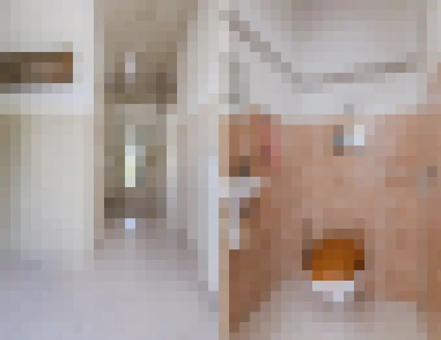 Mirtelaar 12 Veghel thumbnail 5