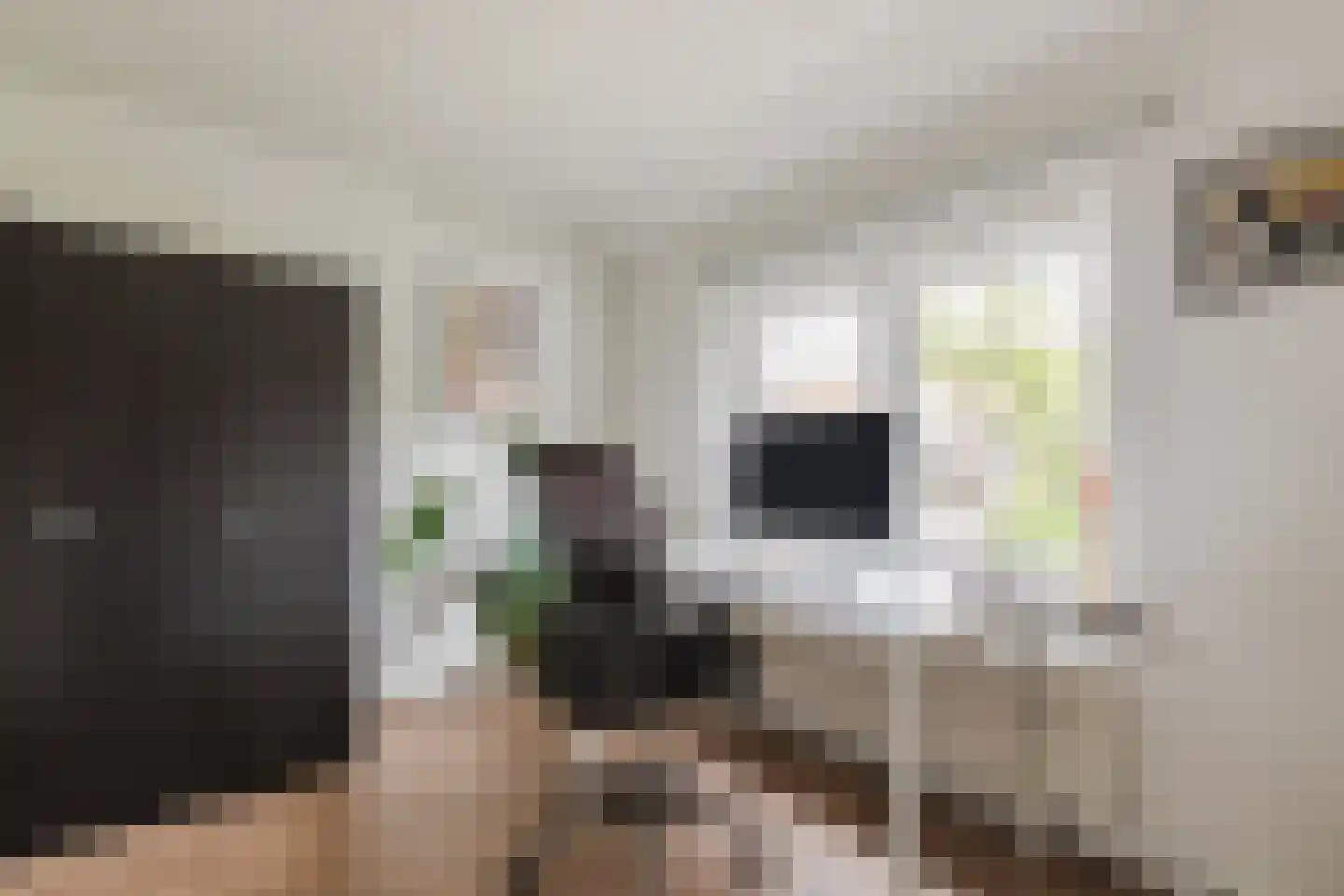 Mirtestraat 21 Nijmegen thumbnail 17