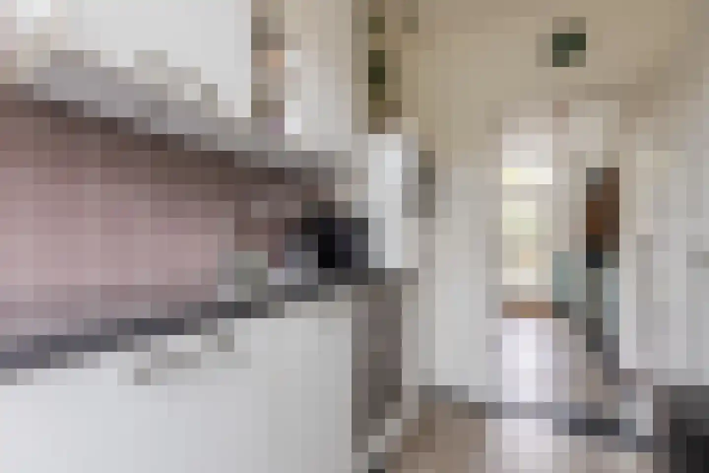 Mirtestraat 21 Nijmegen thumbnail 9