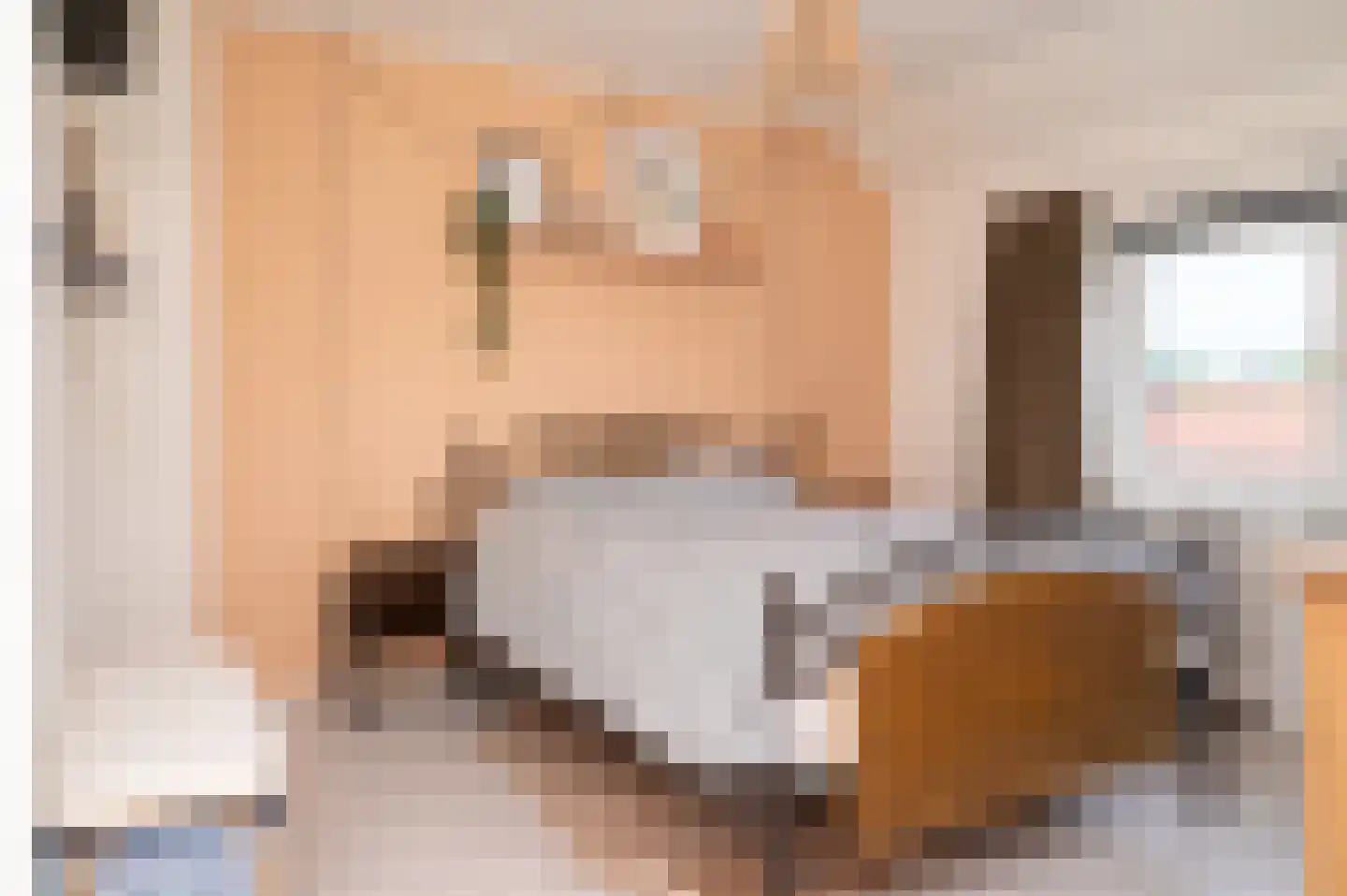 Mirtestraat 55 Nijmegen thumbnail 18