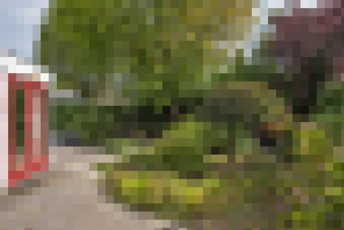 Mispel 1 Borne thumbnail 33