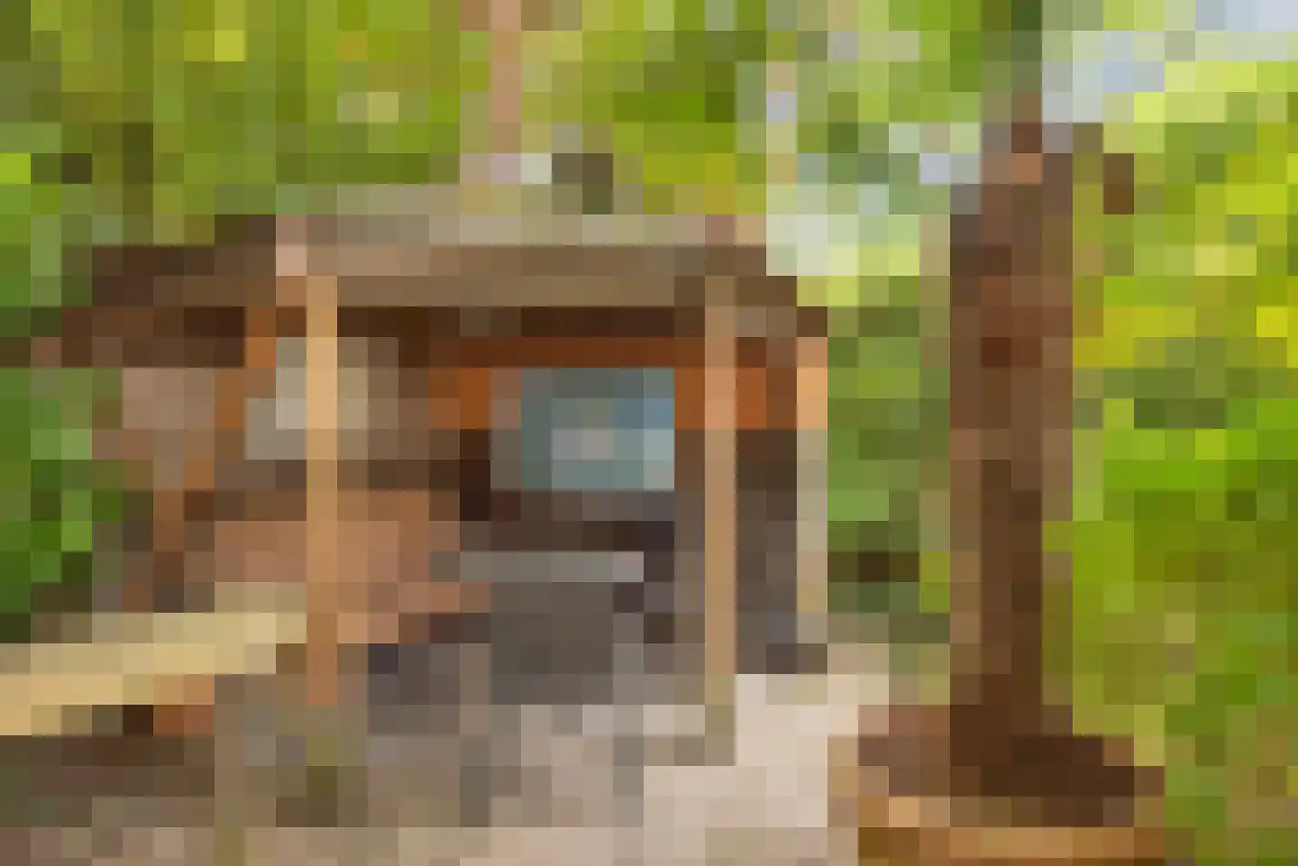 Mispel 1 Borne thumbnail 34