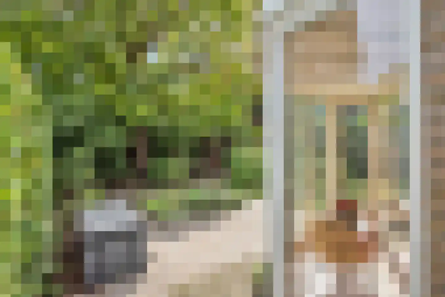 Mispel 1 Borne thumbnail 35