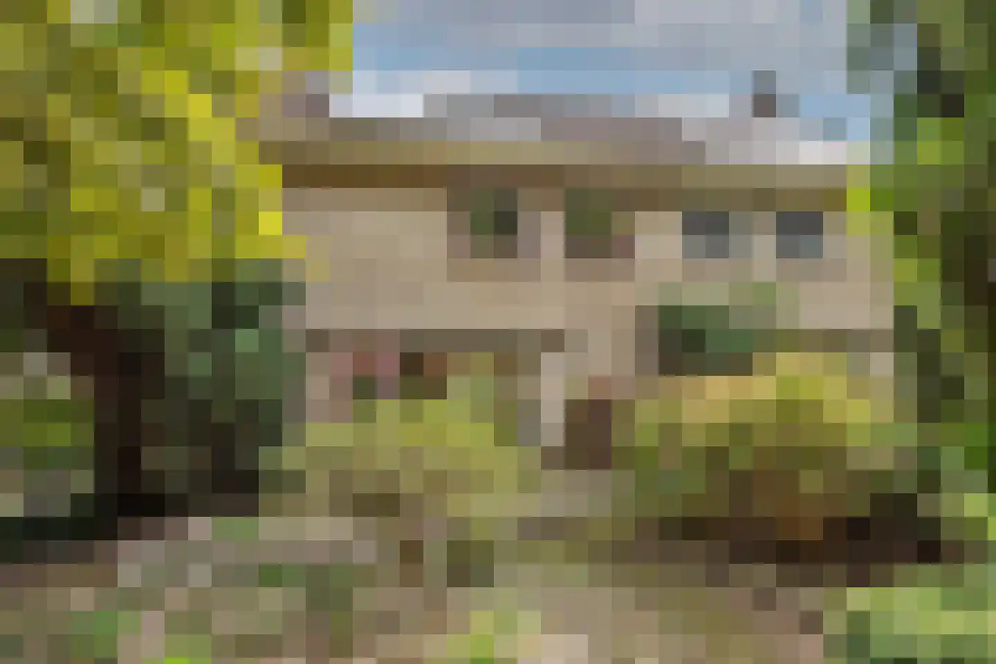 Mispel 1 Borne thumbnail 36
