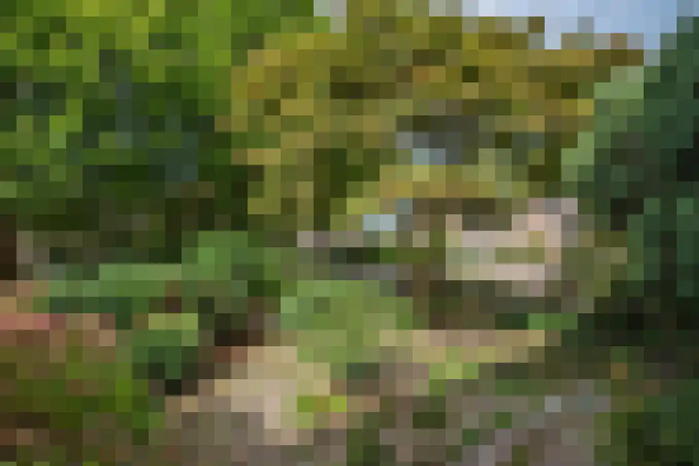 Mispel 1 Borne thumbnail 37