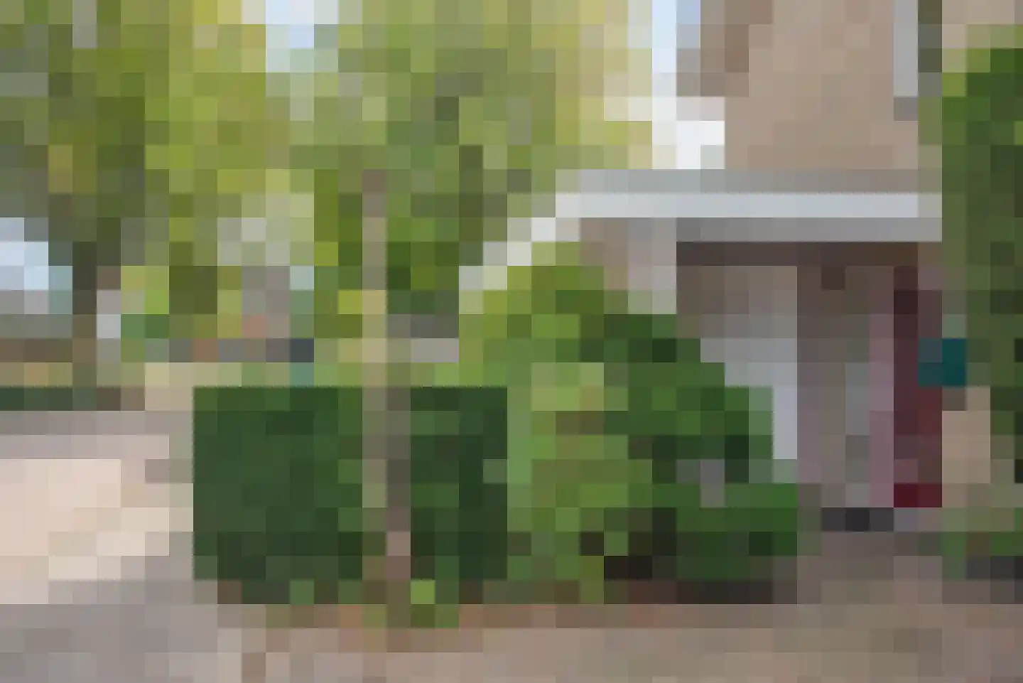 Mispel 1 Borne thumbnail 6