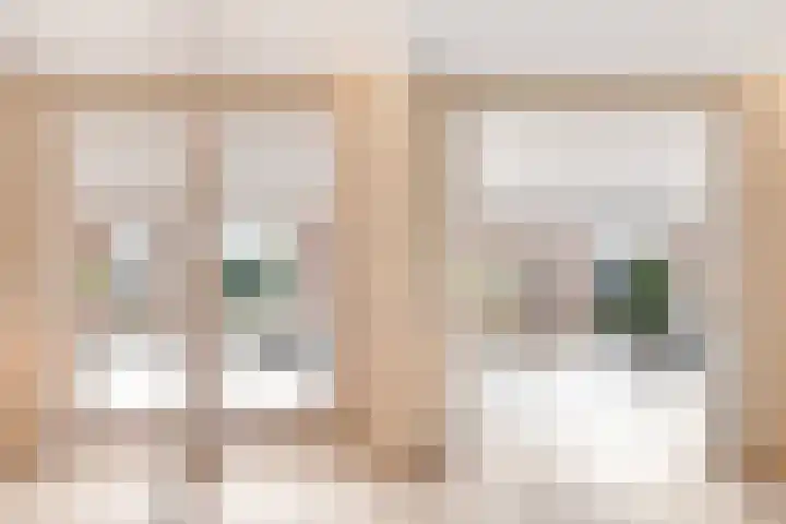 Mispel 5 Nijkerk thumbnail 14