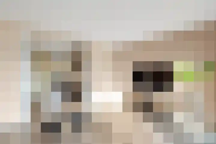 Mispel 5 Nijkerk thumbnail 15